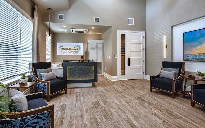 Image of Springwater Memory Support (4)