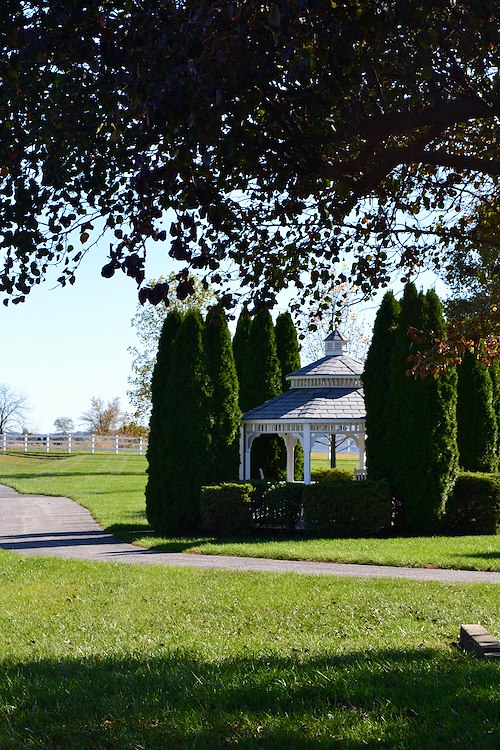 Image of Providence Place Senior Living of Dover (York) (3)