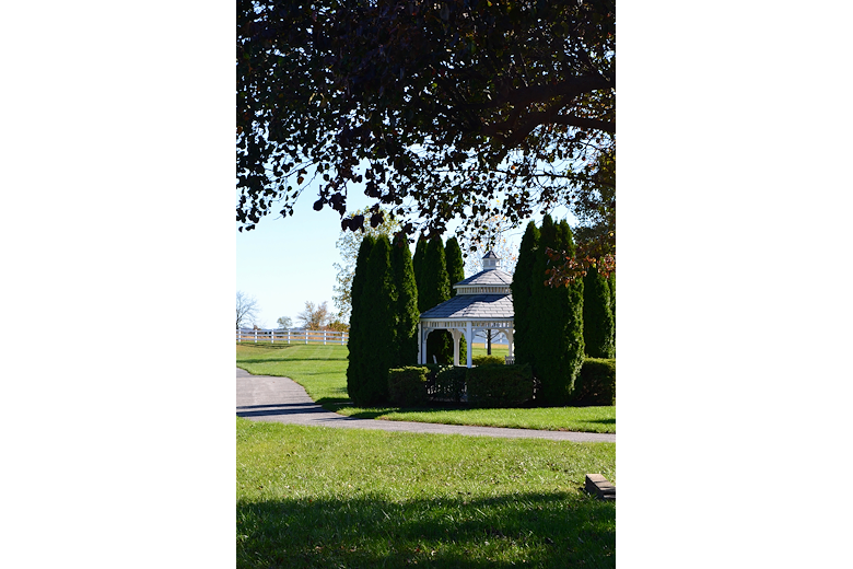 Image of Providence Place Senior Living of Dover (York) (3)