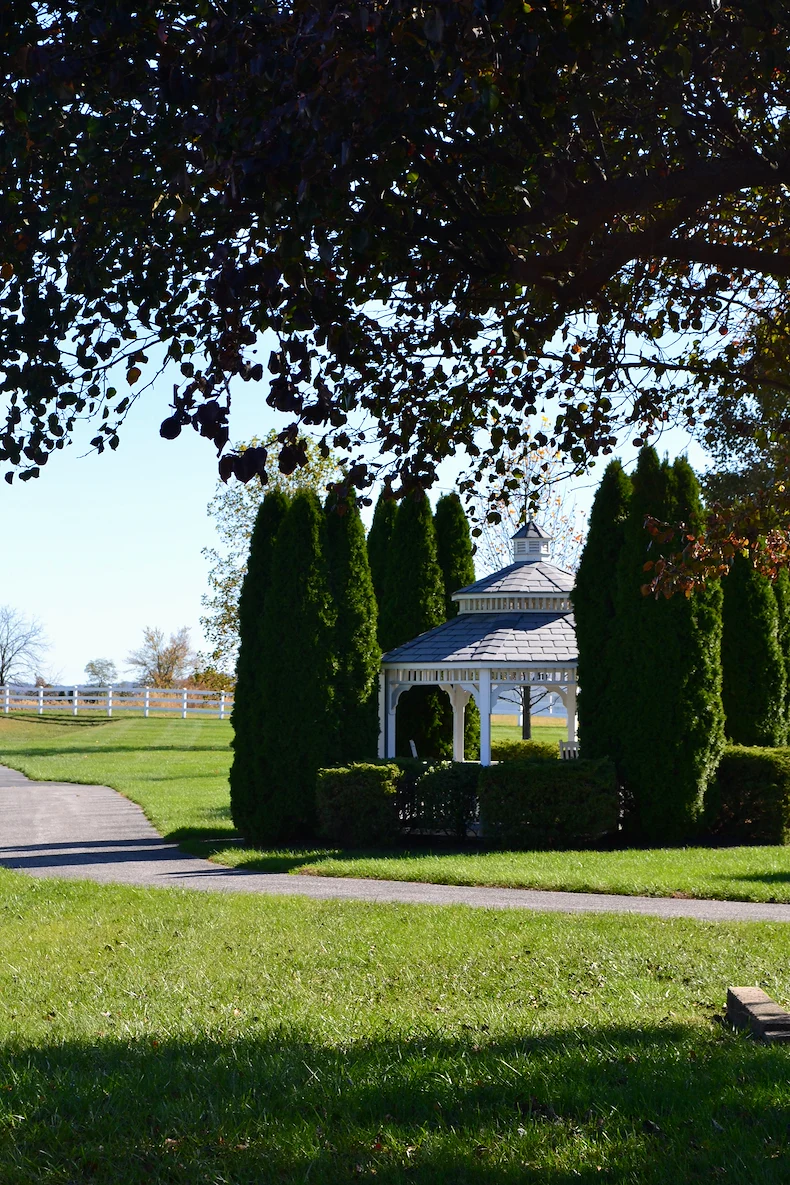 Image of Providence Place Senior Living of Dover (York) (3)