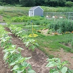 Image of The Gardens - Gananda Senior Apartments (4)