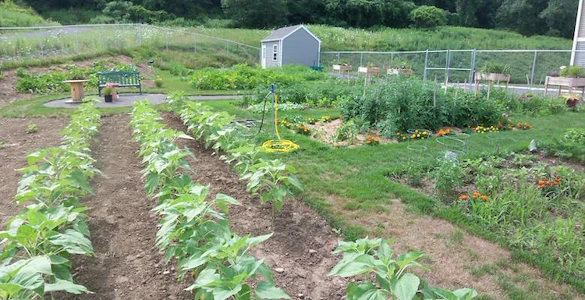 Image of The Gardens - Gananda Senior Apartments (4)