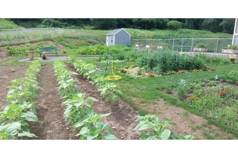 Image of The Gardens - Gananda Senior Apartments (4)
