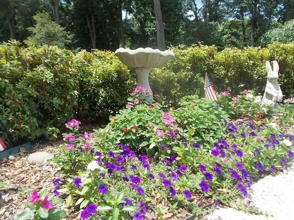 Image of Avera Estates (3)