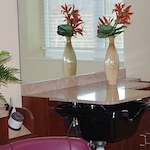 Image of Paramount Senior Living At Peters Township (6)