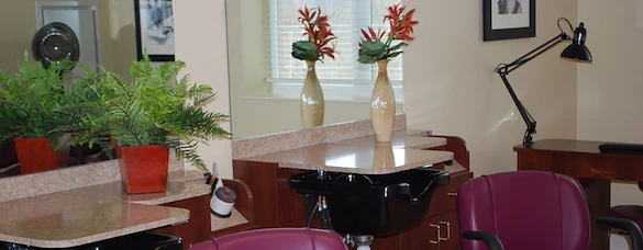 Image of Paramount Senior Living At Peters Township (6)