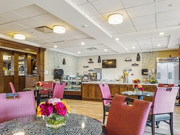 Image of Evolve at Lake Zurich (4)