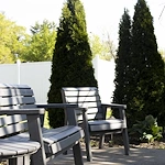 Image of Allure Of Geneseo (6)