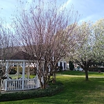 Image of Silver Creek Garland (5)