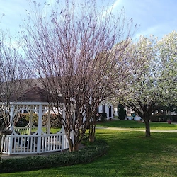Image of Silver Creek Garland (5)
