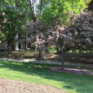 Image of Woodside Oaks (9)