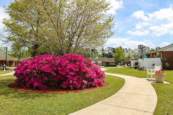 Image of Truewood by Merrill, New Bern (7)