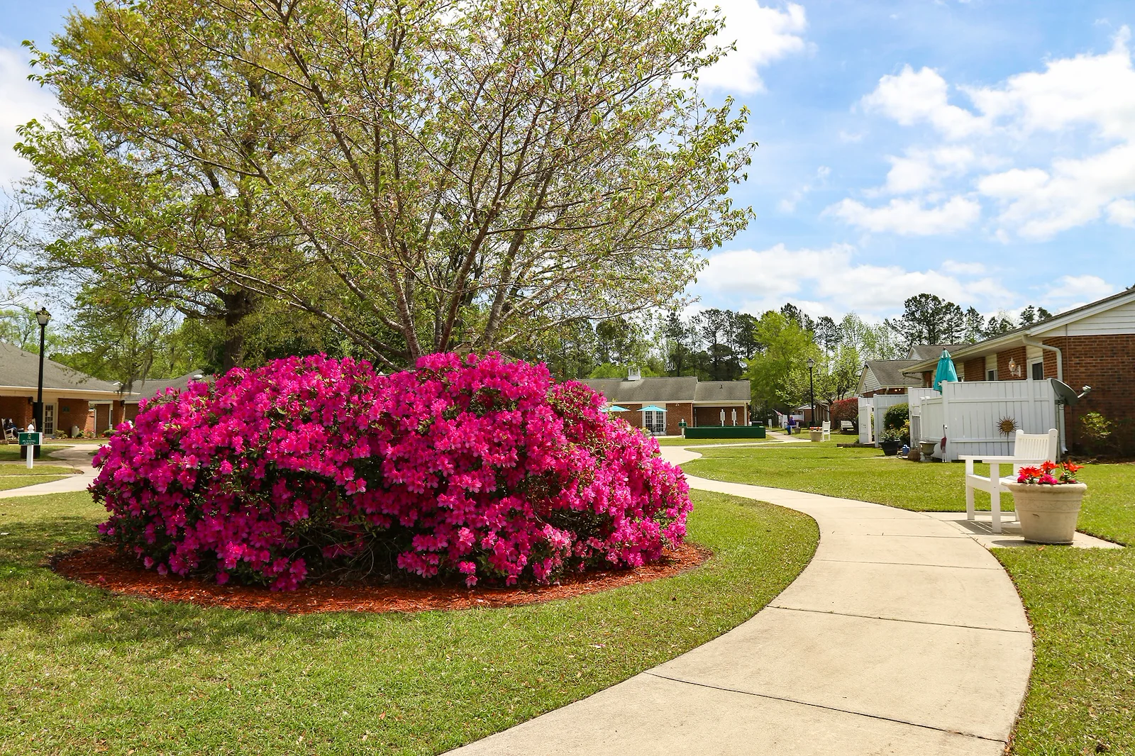 Image of Truewood by Merrill, New Bern (7)