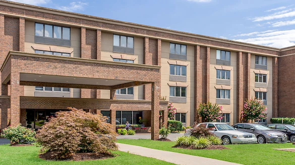 Image of AVIVA Maybelle Carter (2)