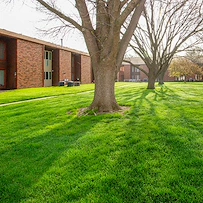 Image of Homestead Village (5)