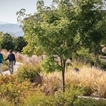 Mill Vista Lodge - Assisted Living