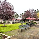 Image of Marquis Springfield (2)