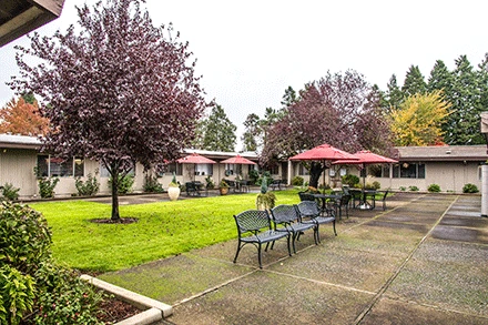 Image of Marquis Springfield (2)