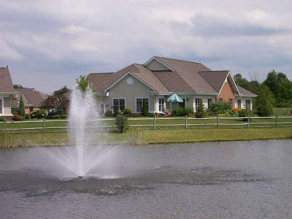 Image of Wesleyan Meadows (2)