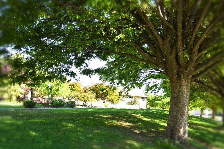 Image of Oakdale Heights (4)