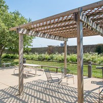Image of Cedar River Renewal (3)
