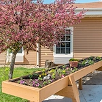 Image of Windsor Manor of Grinnell (6)