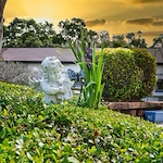 Image of Sodalis Pensacola (9)