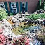 Image of Brookdale Hampton Cove (7)