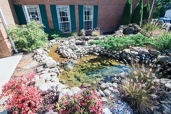 Image of Brookdale Hampton Cove (7)