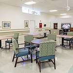 Image of Avante at Melbourne (2)