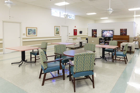 Image of Avante at Melbourne (2)