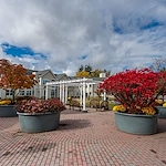 Image of The Knolls (10)