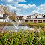 Image of Holiday Maple Downs (1)
