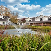 Image of Holiday Maple Downs (1)