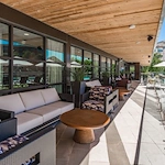 Image of The Doliver of Tanglewood (10)