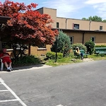 Image of Ransomville Manor (1)