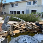 Image of Bridgewalk on Harden (5)