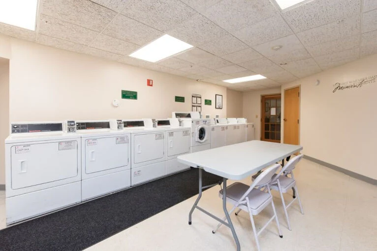 Image of Lilac Senior (6)