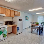 Image of Golden Elm (5)