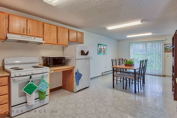 Image of Golden Elm (5)