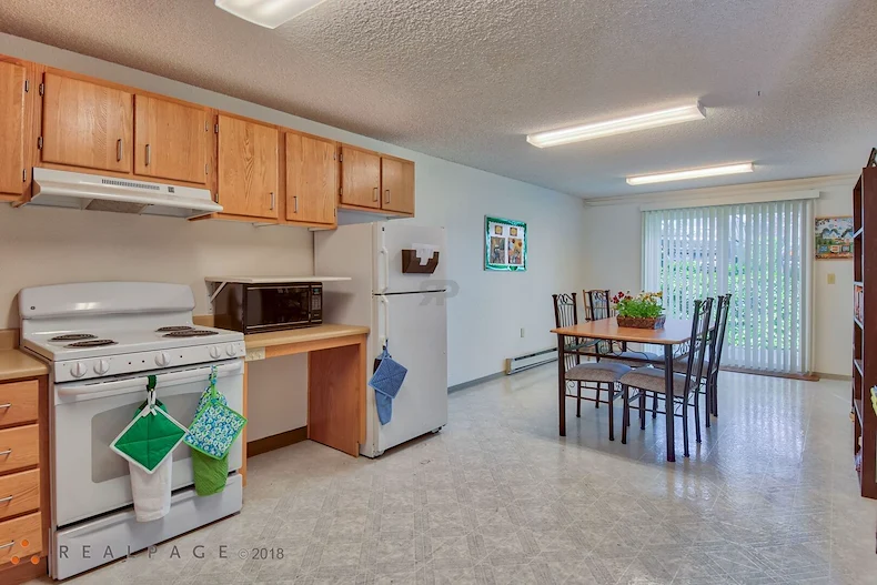 Image of Golden Elm (5)