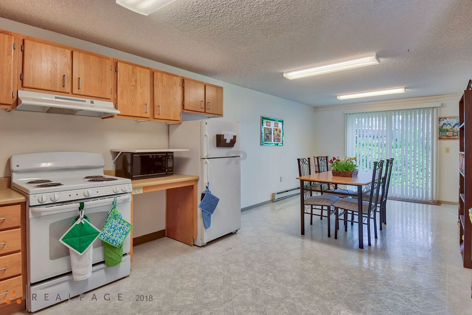 Image of Golden Elm (5)