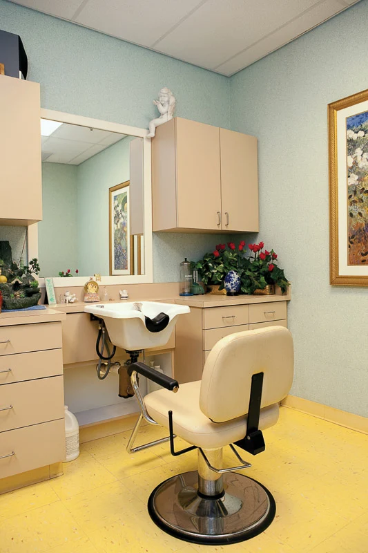 Image of Ka Punawai Ola (5)