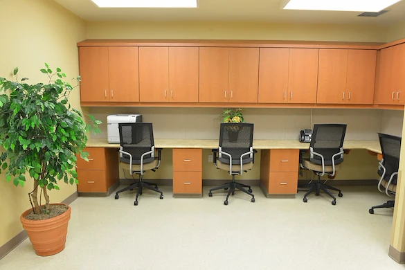 Image of Laurels Of Chatham (7)