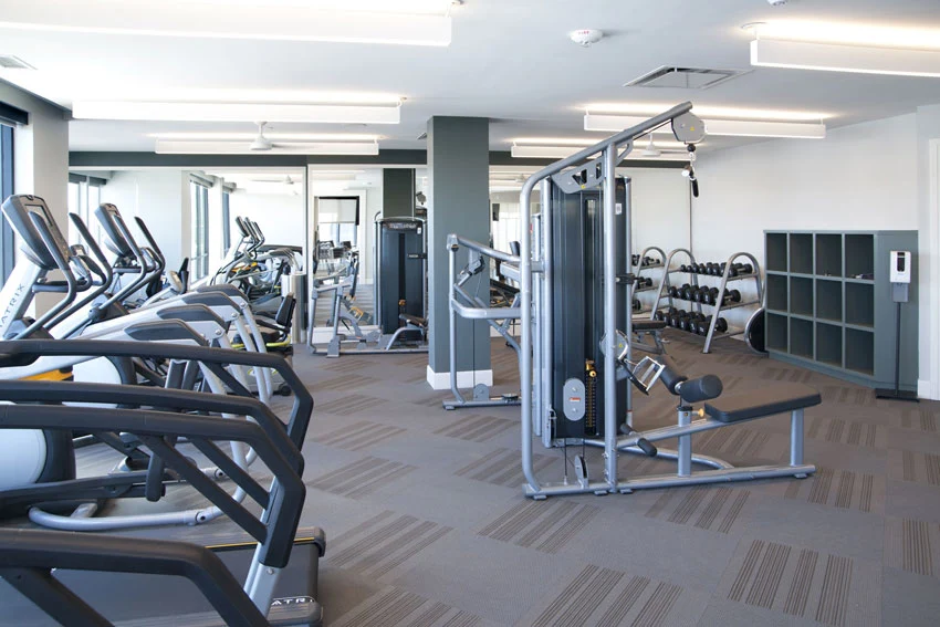 Image of Avidor Omaha (3)