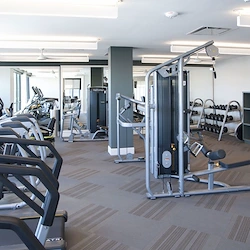 Image of Avidor Omaha (3)