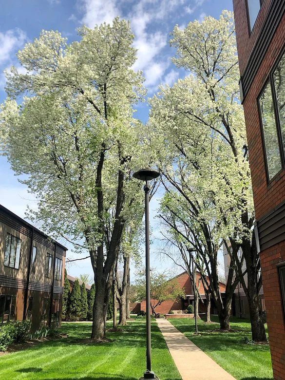 Image of Westerwood Rehabilitation (3)