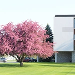 Image of Riverview Place (1)