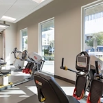 Image of Silver Birch of Midtown (6)