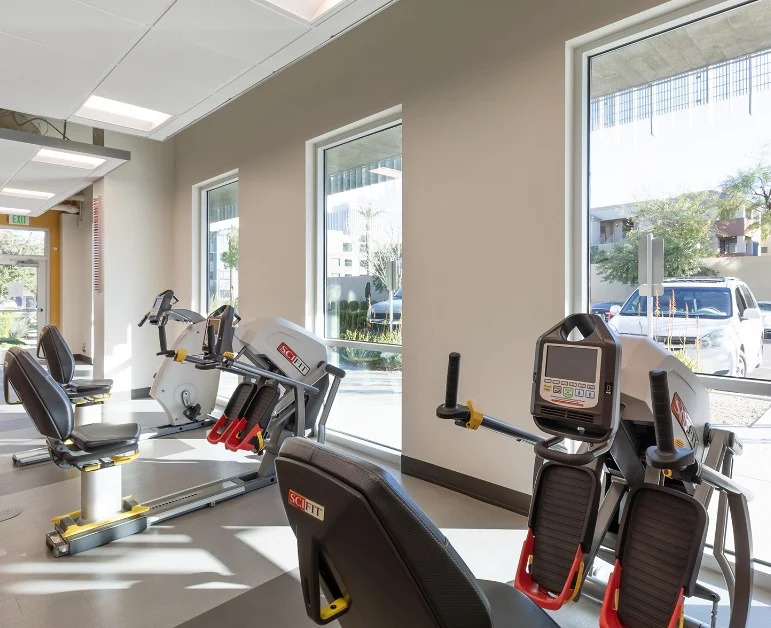 Image of Silver Birch of Midtown (6)